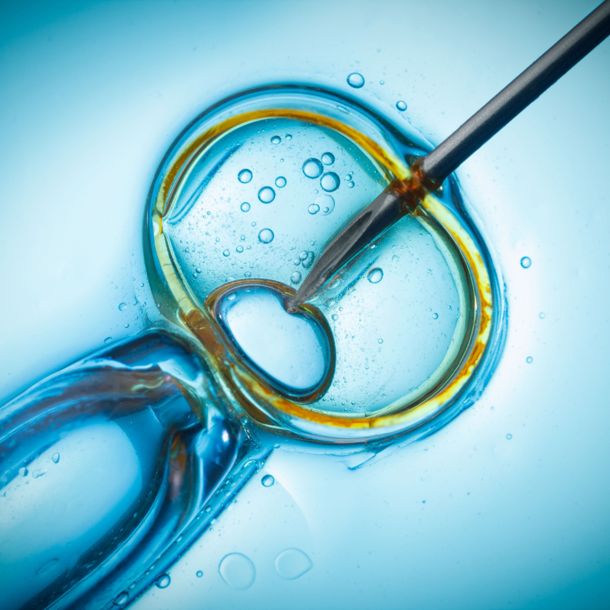 Fertility Myths Debunked Common Misconceptions About Fertility And Kingwood Ivf Treatments