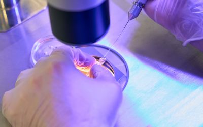 Advanced North Houston IVF at HART Fertility Clinic