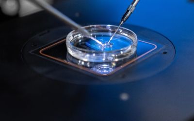 ICSI happening in the lab